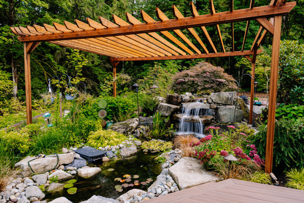 outdoor oasis with pergola